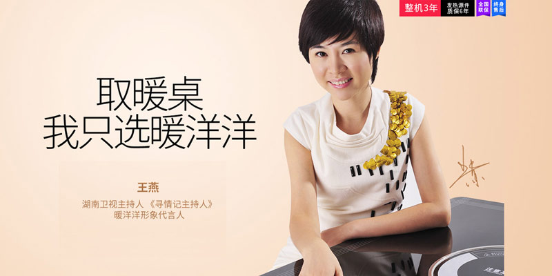湖南暖洋洋電器有限公司 湖南暖洋洋電器有限公司